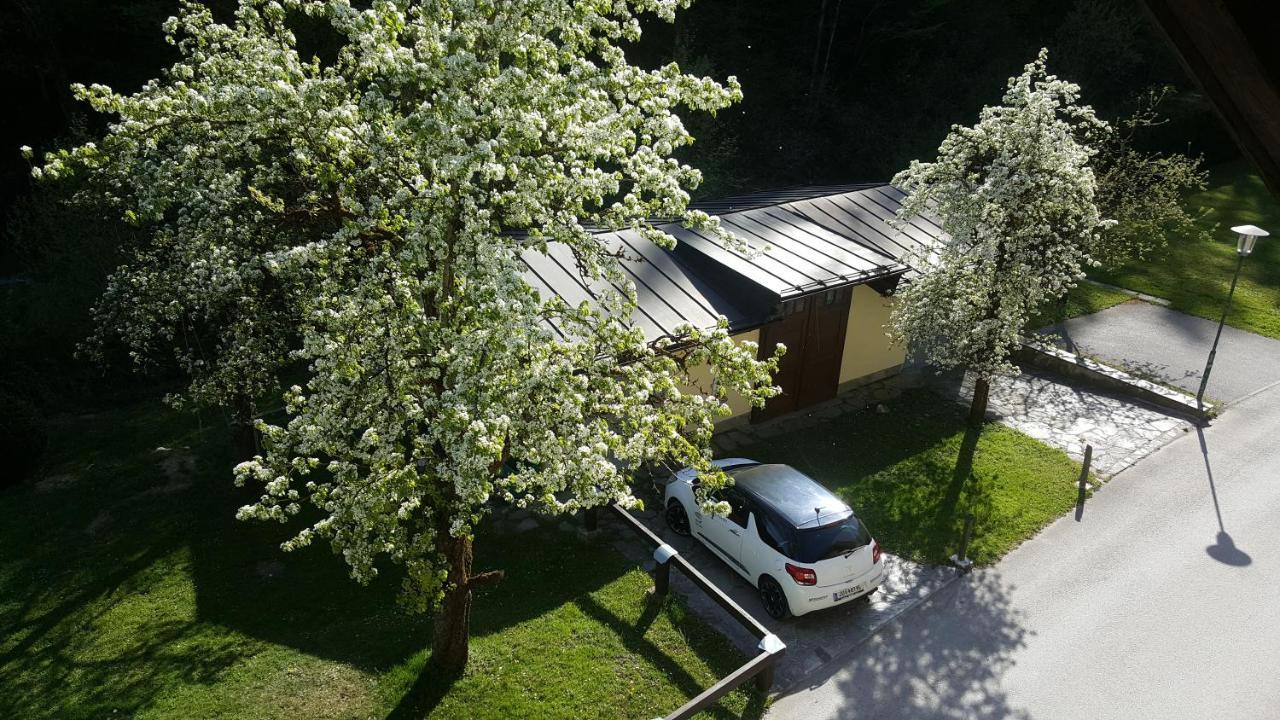Imlau 51 Daire Dış mekan fotoğraf